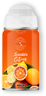 Citrus-png-600x600(v2)