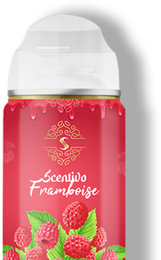 Framboise-png-600x600