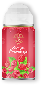 Framboise-png-600x600(v2)